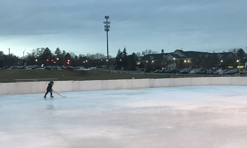 Community Park ice rink