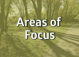 Words Area of focus on a tree background