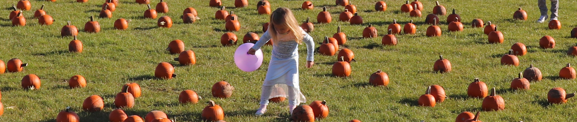 child in a pumpkin patch