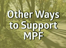 Words Other Ways to Support MPF on tree background