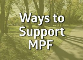 Words Way to support MPF on a tree background