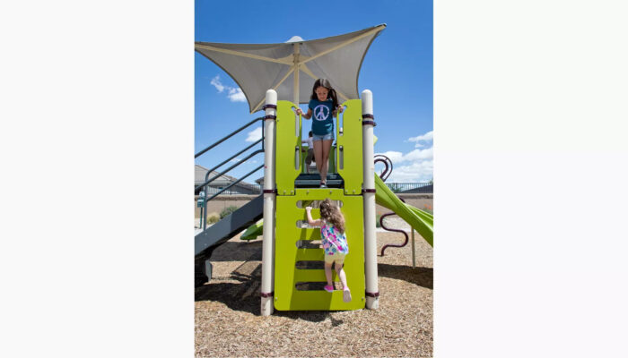 Vertical Ladder Panel feature for All-Inclusive Playground concept for Kracklauer Park